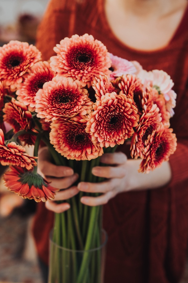 Красивый букет оранжевых гербер в руках у женщины 