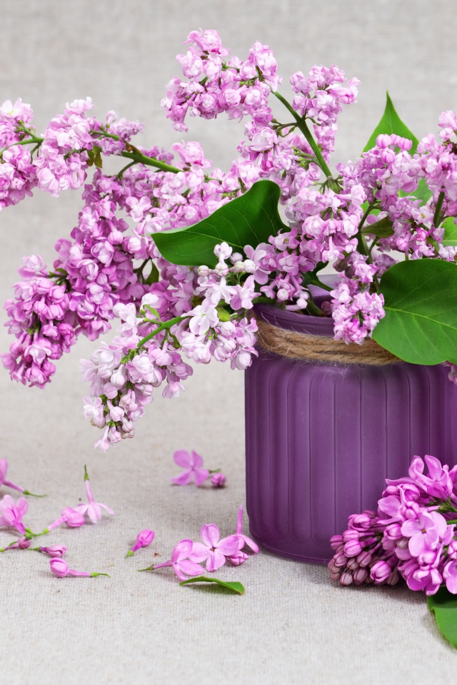 Красивая сирень в вазе на сером фоне