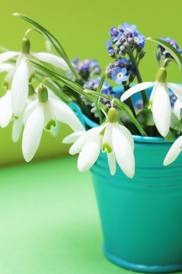 Голубое ведерко с белыми подснежниками и голубыми незабудками