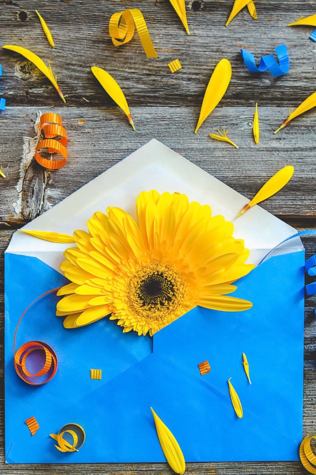 Синий конверт с желтым цветком гербер 