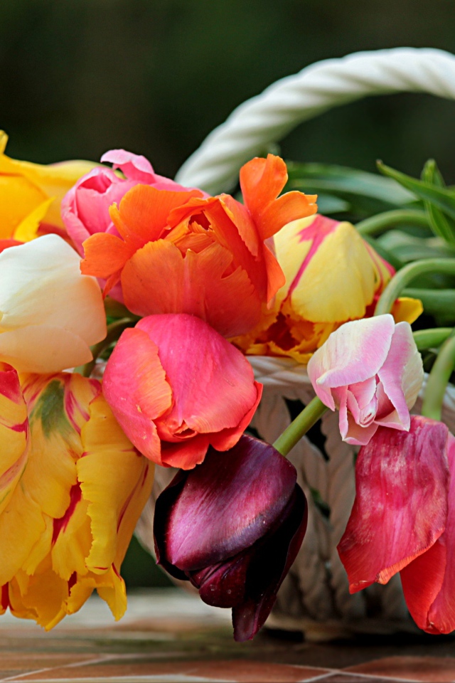 Букет красивых разноцветных тюльпанов в корзине 