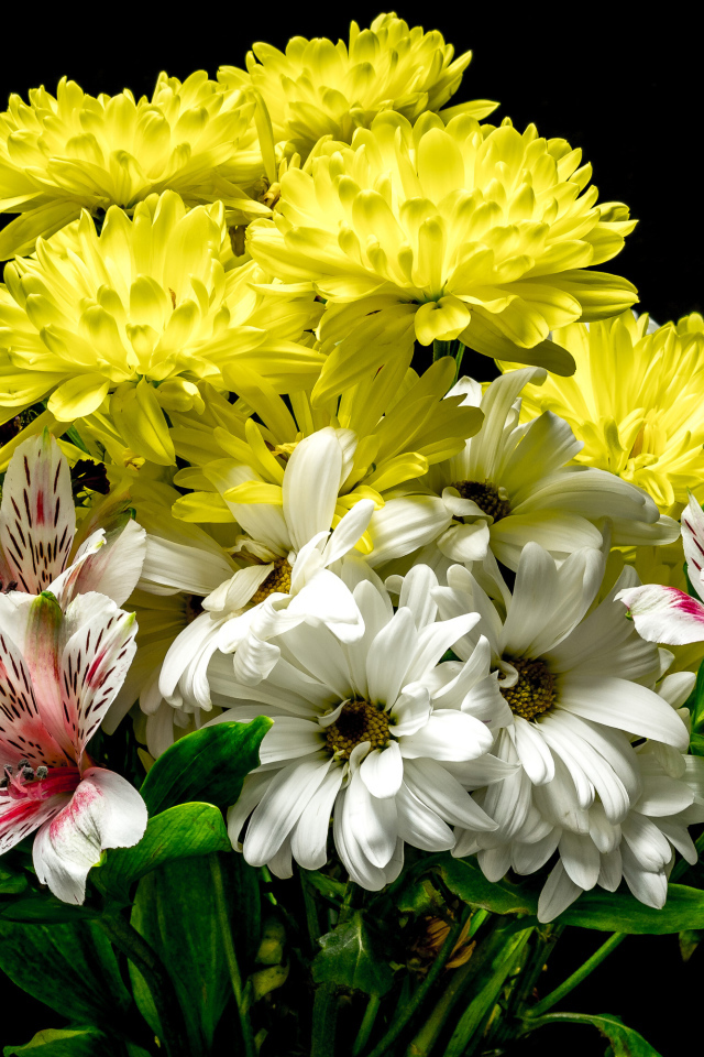 Букет из цветов хризантемы и альстромерии на черном фоне