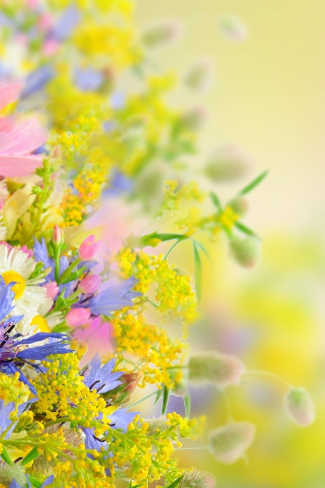 Букет разноцветных ярких летних цветов на размытом фоне