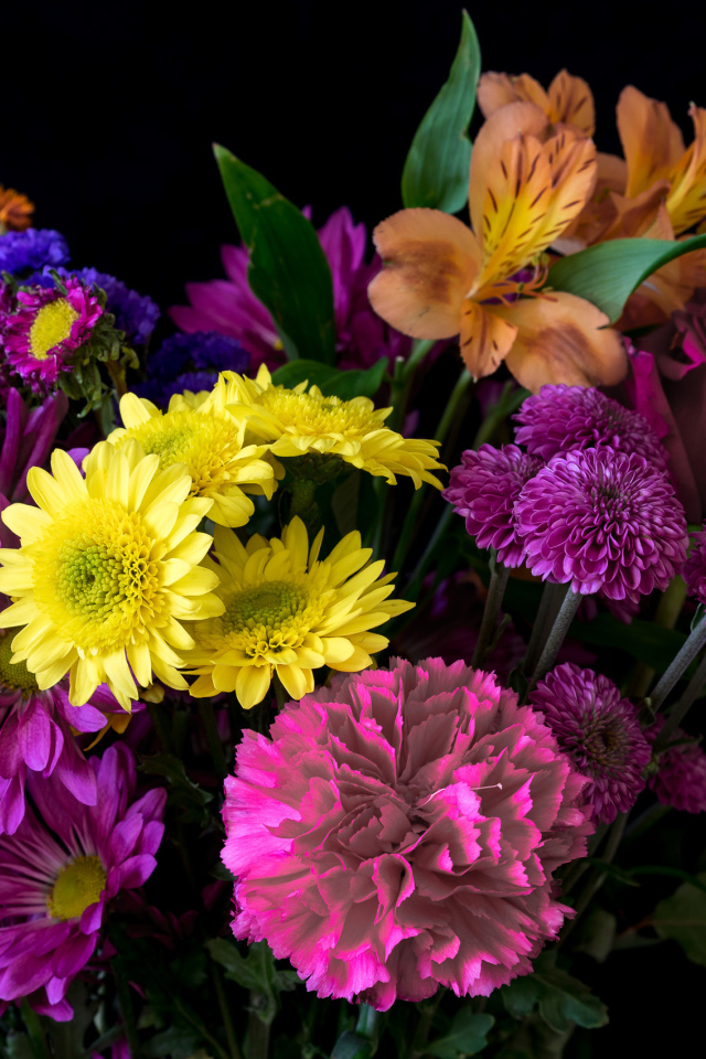 Букет разноцветных цветов на черном фоне крупным планом