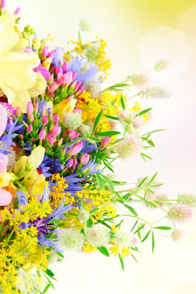 Букет разноцветных летних цветов на розовом фоне