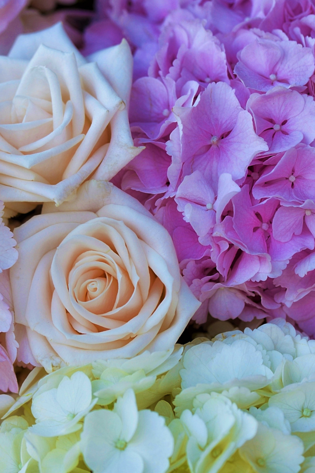 Букет из цветов гортензии и розы крупным планом