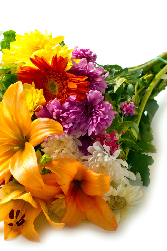 Букет из цветов лилии,герберы и хризантемы на белом фоне