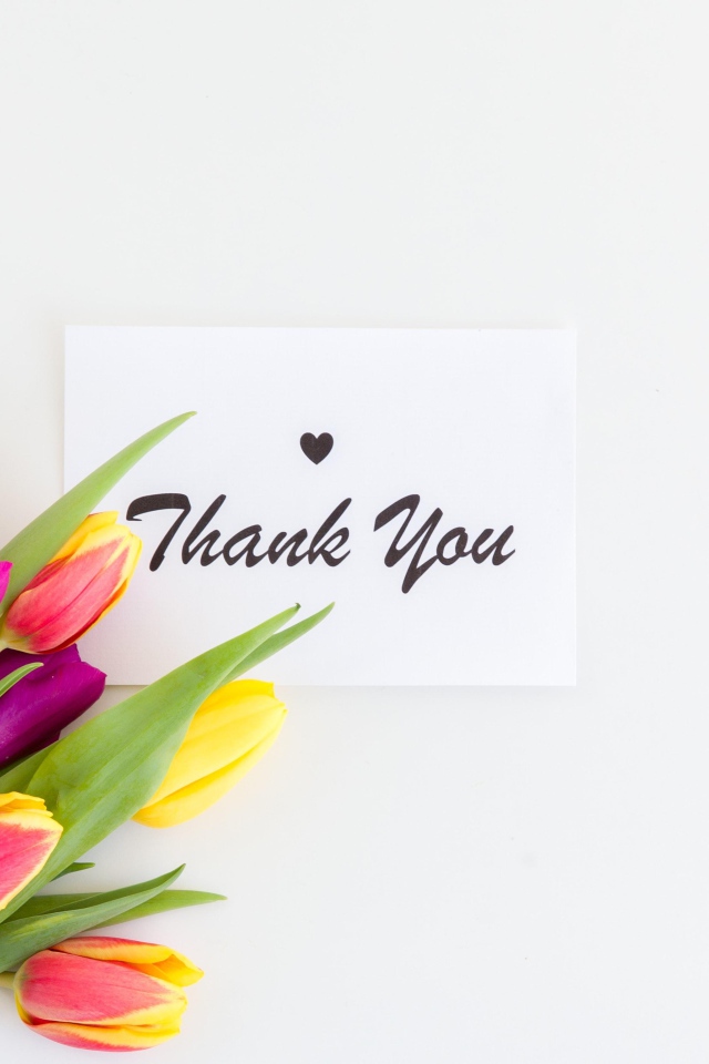 Букет разноцветных тюльпанов и надпись спасибо на белом фоне