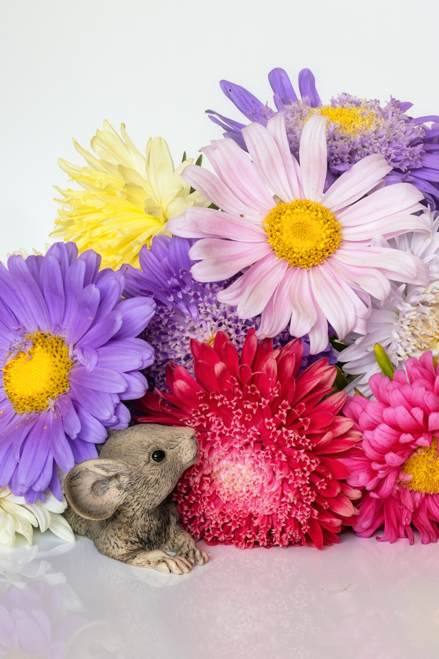 Букет разноцветных цветов астры с фигурками мышей