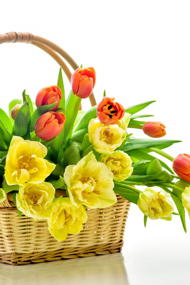Букет оранжевых и желтых тюльпанов в корзине на белом фоне