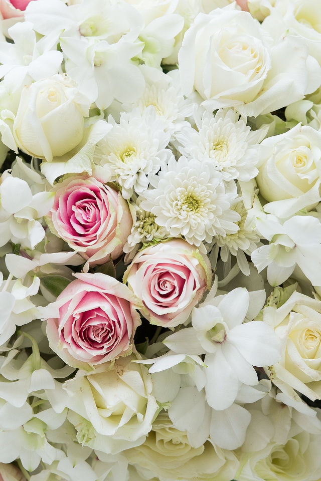 Букет розовых и белых роз с цветами хризантемы