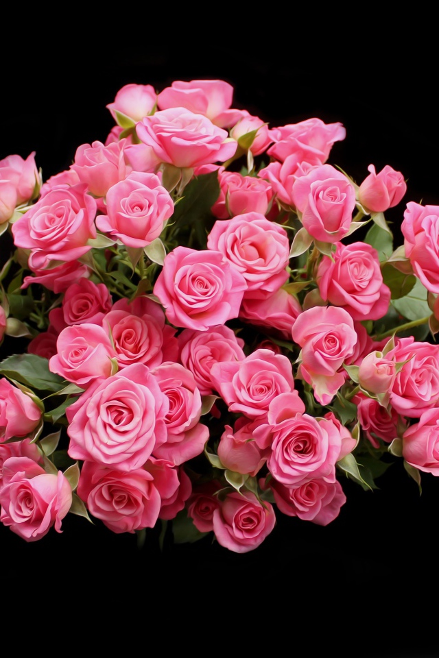 Букет розовых роз на черном фоне