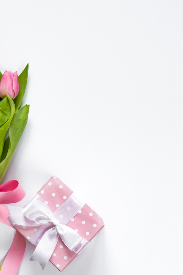Букет розовых тюльпанов с бантом на белом фоне с подарком