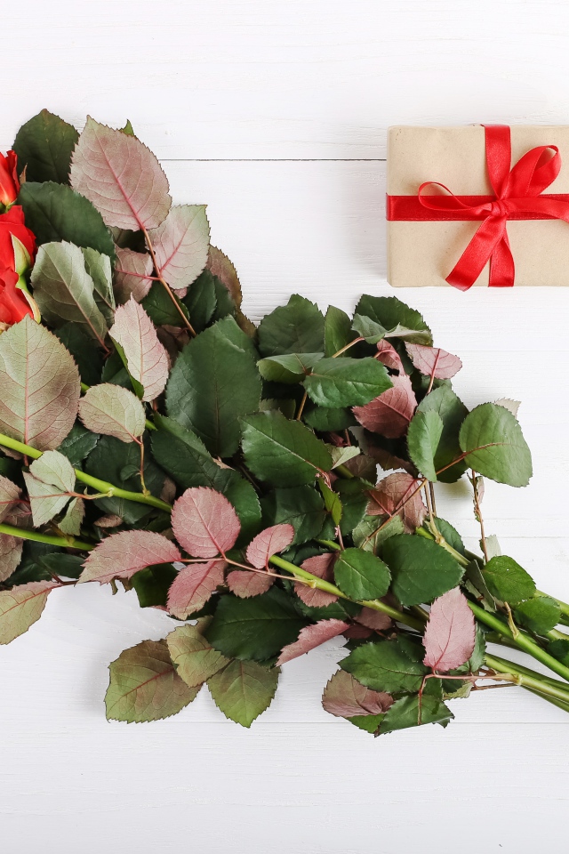 Букет колючих красных роз с подарком на белом фоне