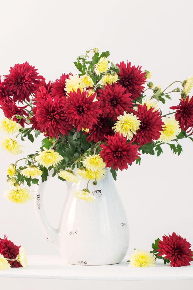 Букет красных и желтых хризантем в вазе на белом фоне