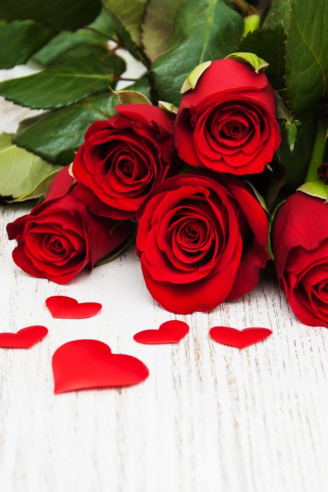 Букет красных роз с зелеными листьями на белом фоне с сердечками 