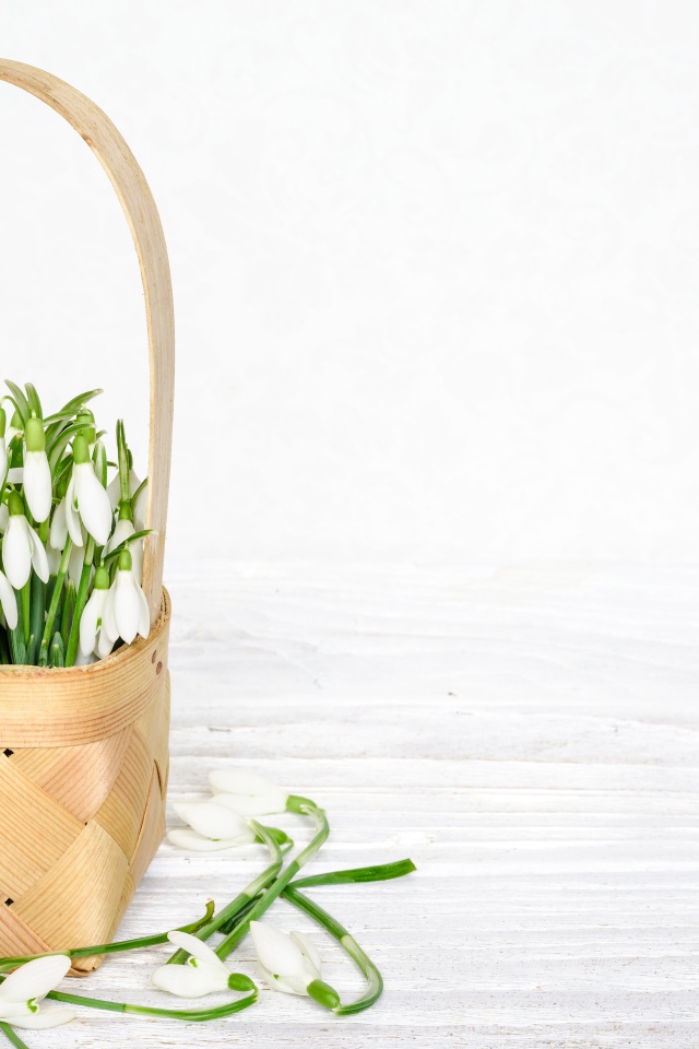Букет подснежников в корзине на белом столе 