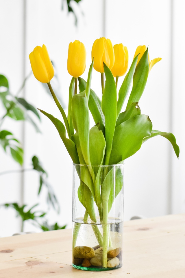 Букет желтых тюльпанов в стеклянной вазе на столе 