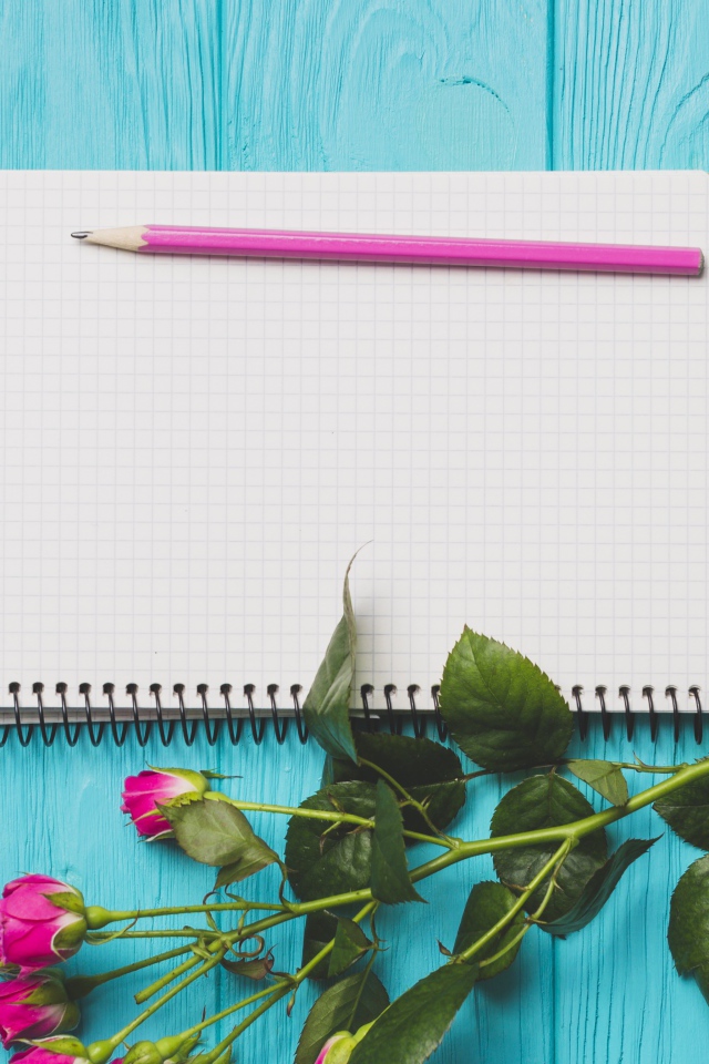 Ветка с розами на голубом фоне с блокнотом и карандашом