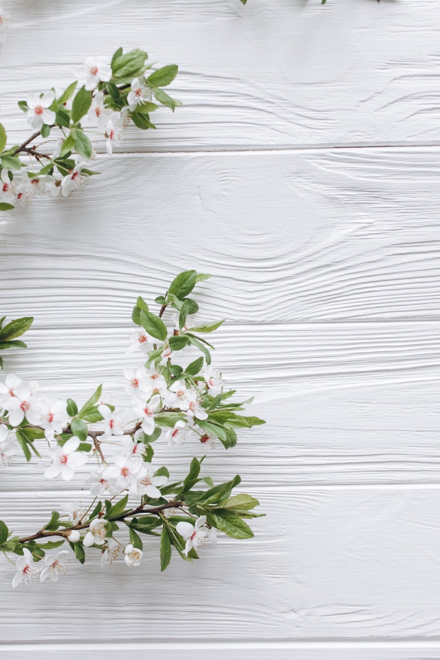 Ветки с белыми цветами вишни на деревянном фоне