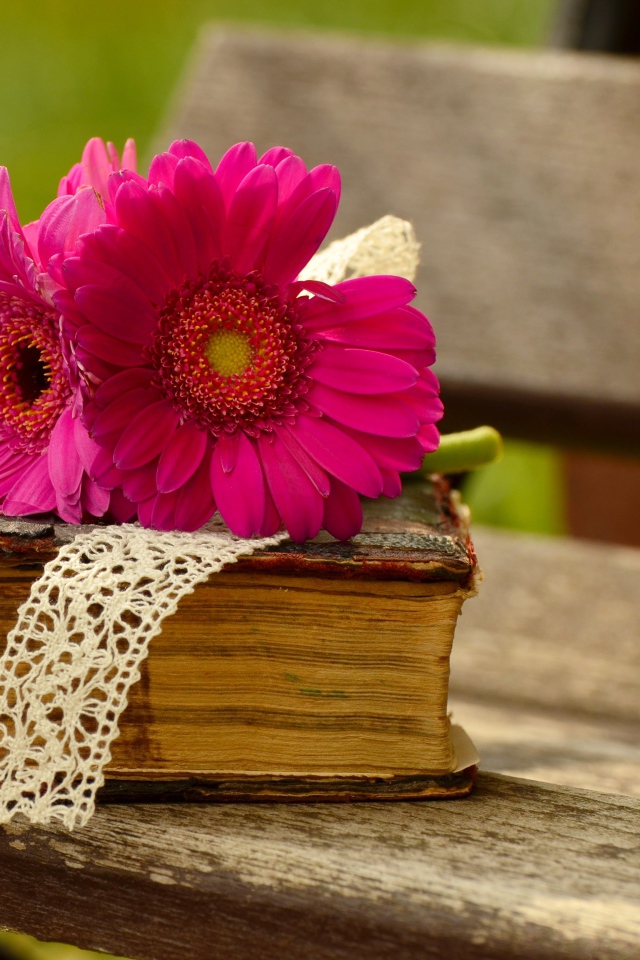Цветы герберы со старой книгой на лавочке