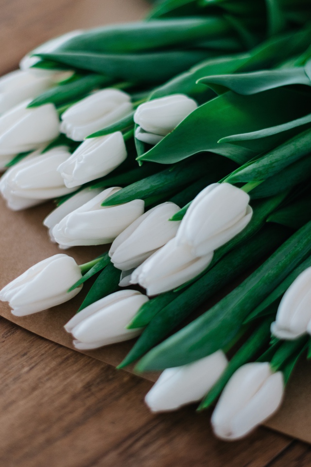 Большой букет белых тюльпанов в бумажном пакете 