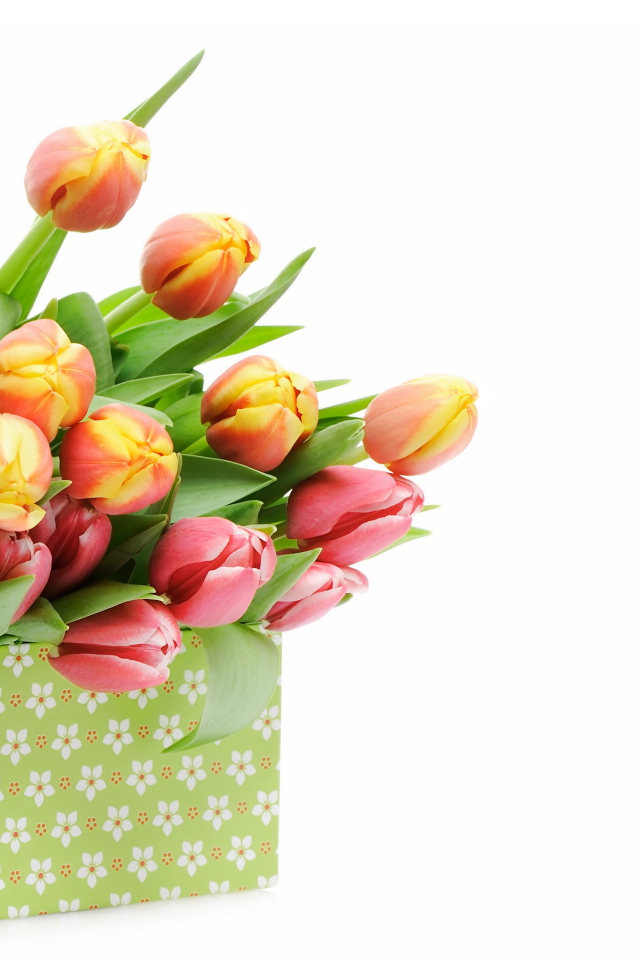 Большая коробка с разноцветными тюльпанами