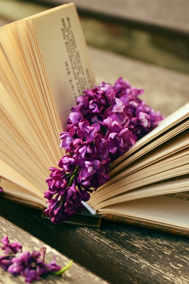 Цветы сирени лежат на книге на лавке 