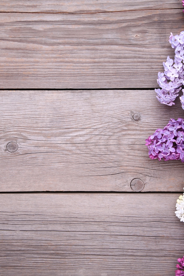 Разноцветные цветы сирени на деревянном фоне