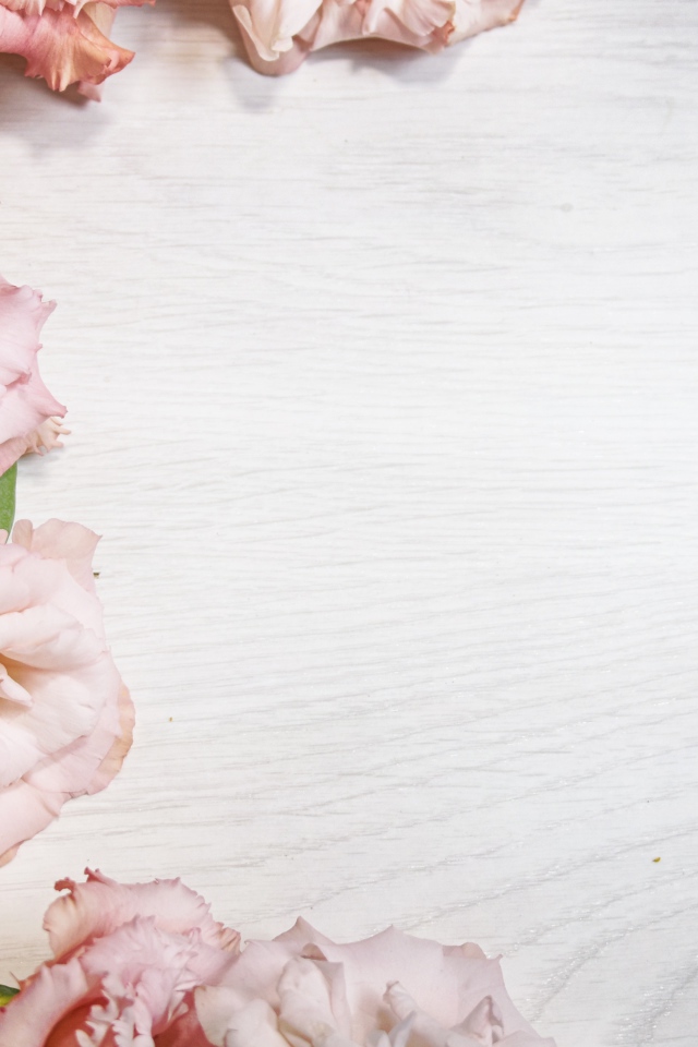 Розовые цветы эустомы на шаблоне для открытки 