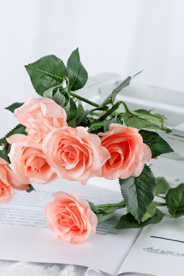 Розовые цветы лежат на столе на журнале