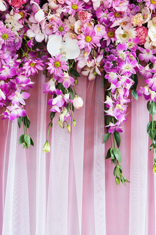 Розовые  живые цветы висят на стене 