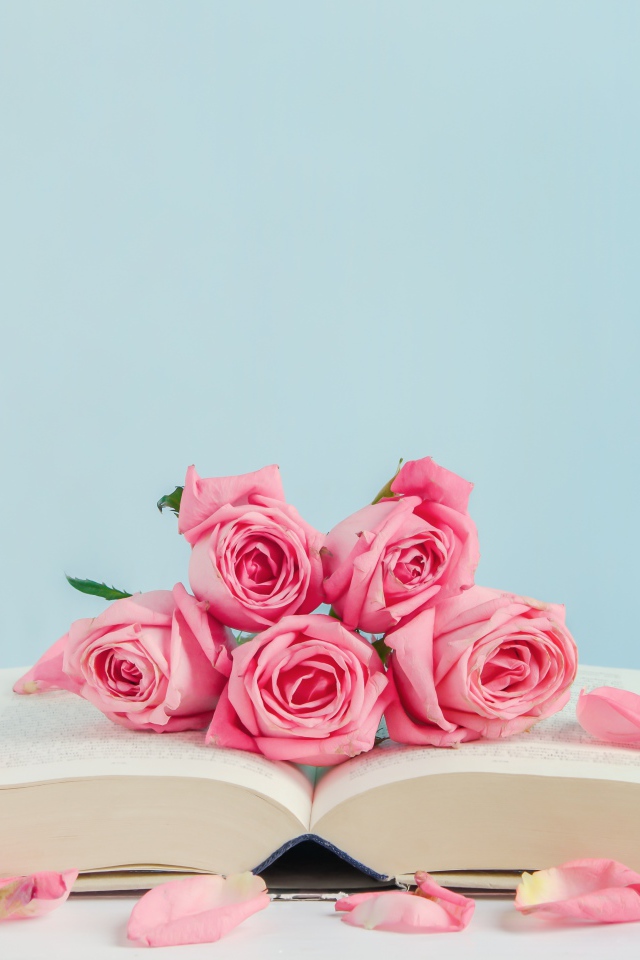 Розовые цветы розы с книгой на голубом фоне