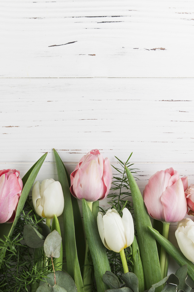 Розовые тюльпаны и розы на белом фоне