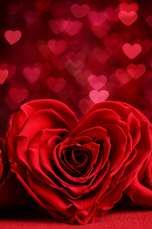 Красная роза в форме сердца на фоне с сердечками