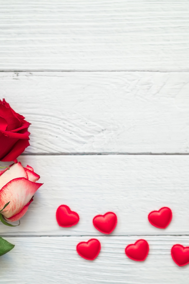 Три свежие розы на сером столе с красными сердечками