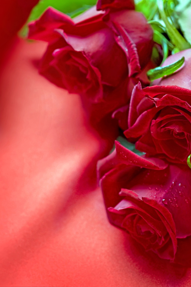 Три красные розы с атласной лентой на красной ткани