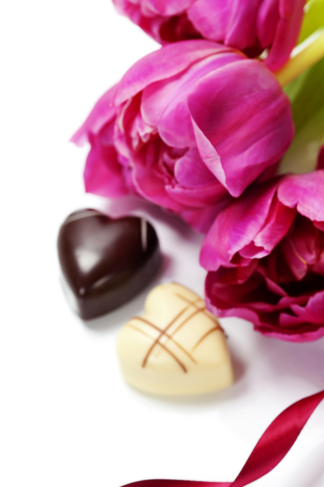 Тюльпаны на белом фоне с шоколадными конфетами