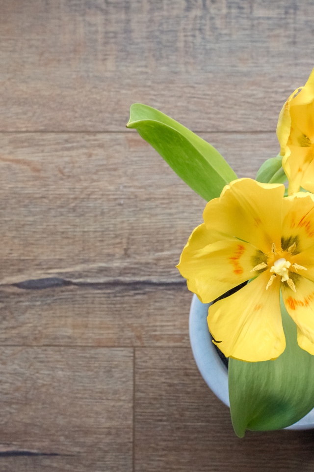 Два желтых тюльпана в вазе на деревянном столе 