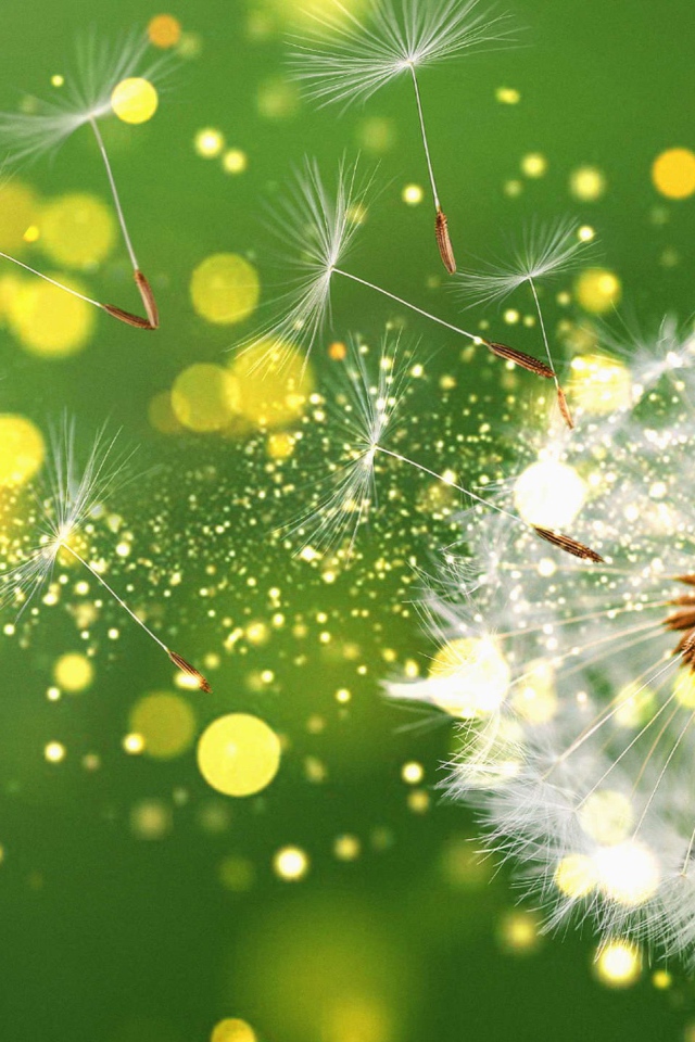 Белый одуванчик разлетается на зеленом фоне