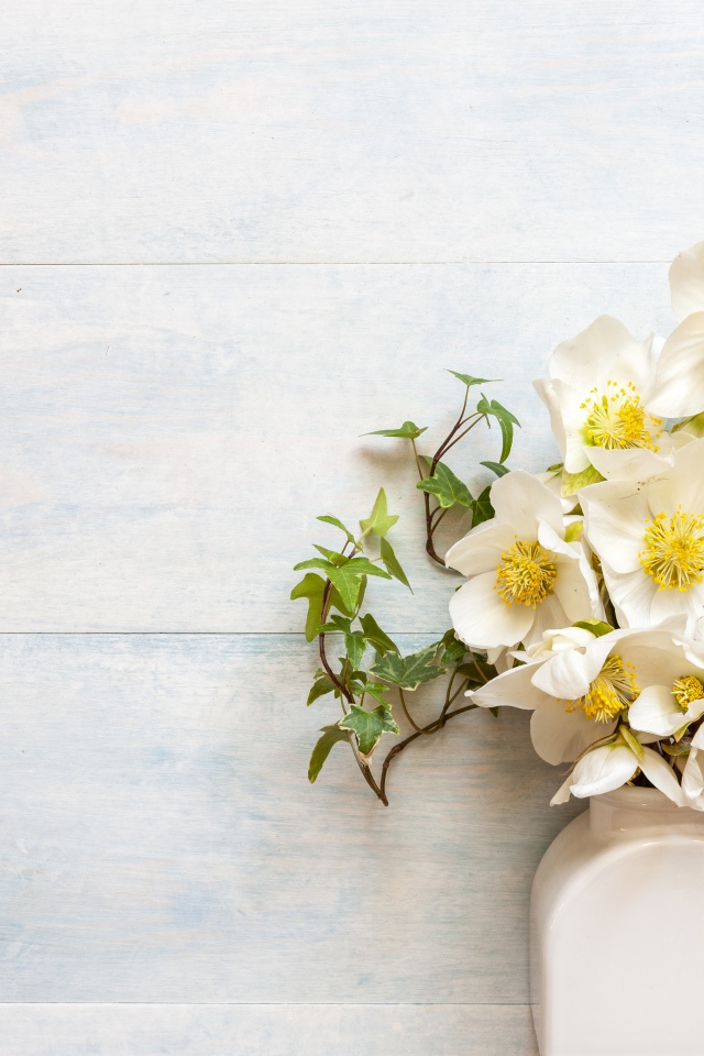 Белые цветы морозника в вазе у стены