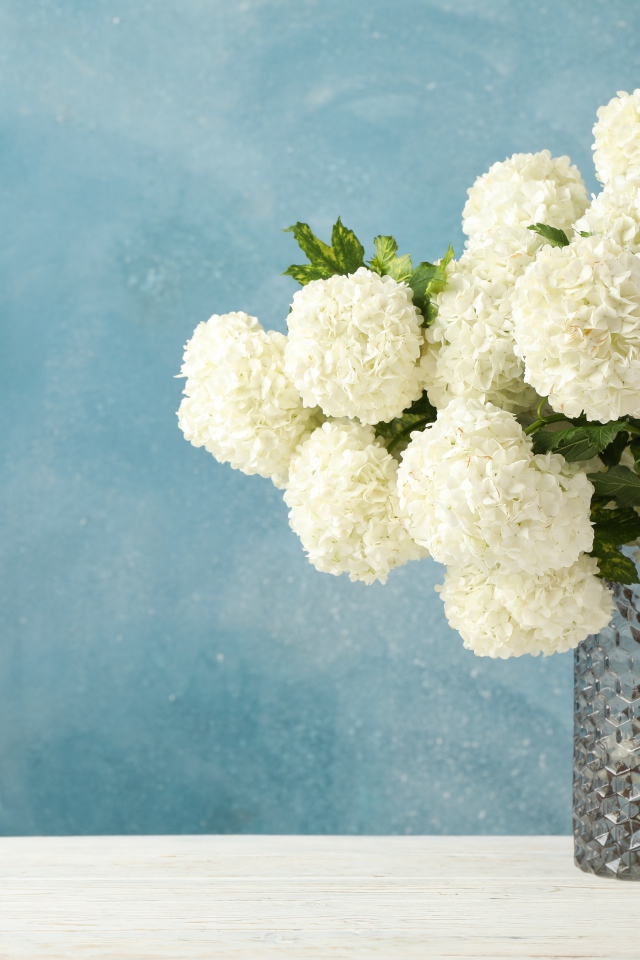 Белые цветы гортензии в стеклянной вазе на столе 