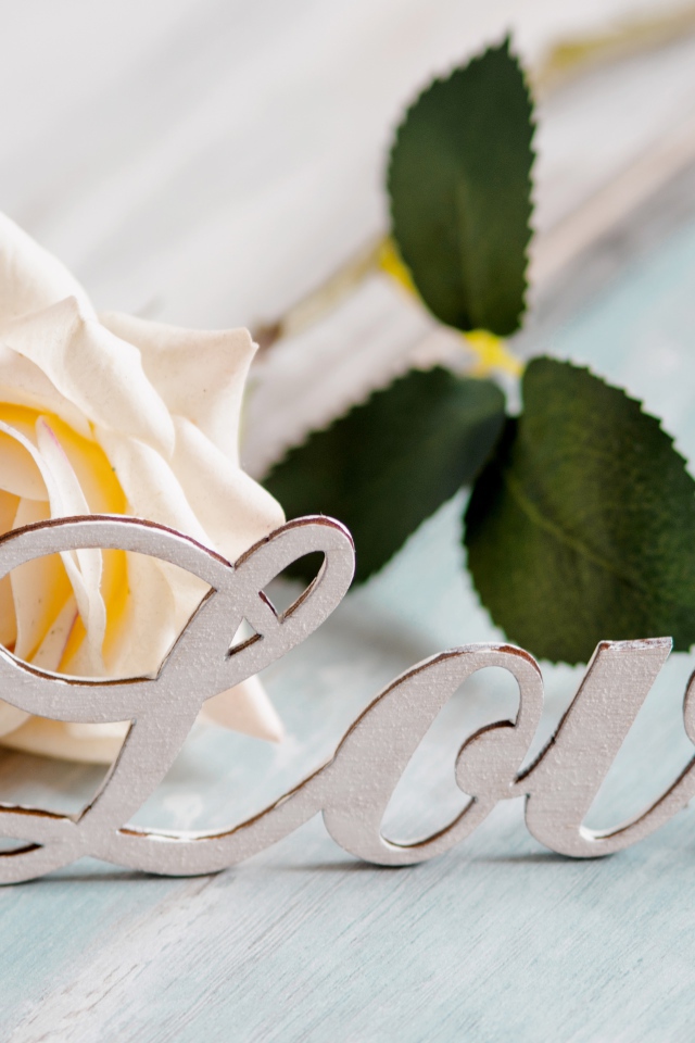 Белая надпись любовь на английском с белой розой