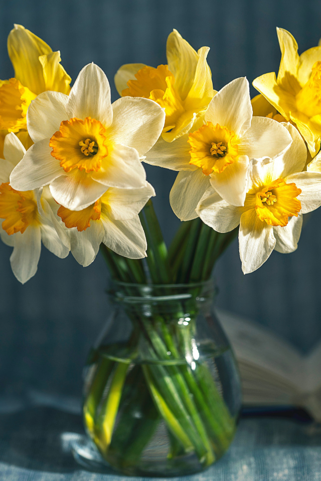 Желтые и белые нарциссы в стеклянной банке на столе 