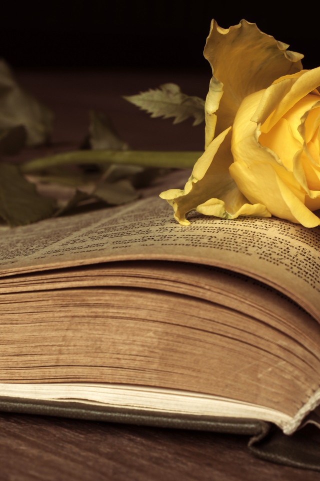 Желтая книга лежит на старой книге 