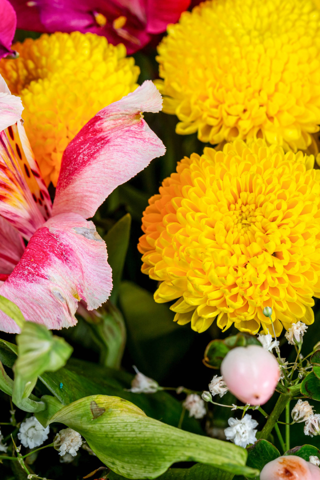 Желтые хризантемы и цветы альстромерии в букете 