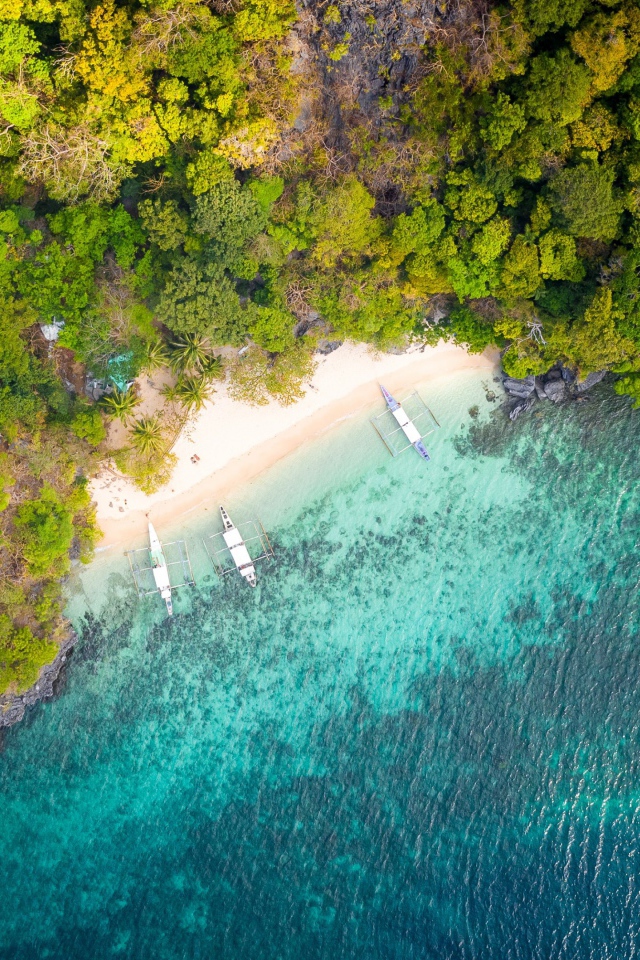 Вид на голубую воду и лес сверху 
