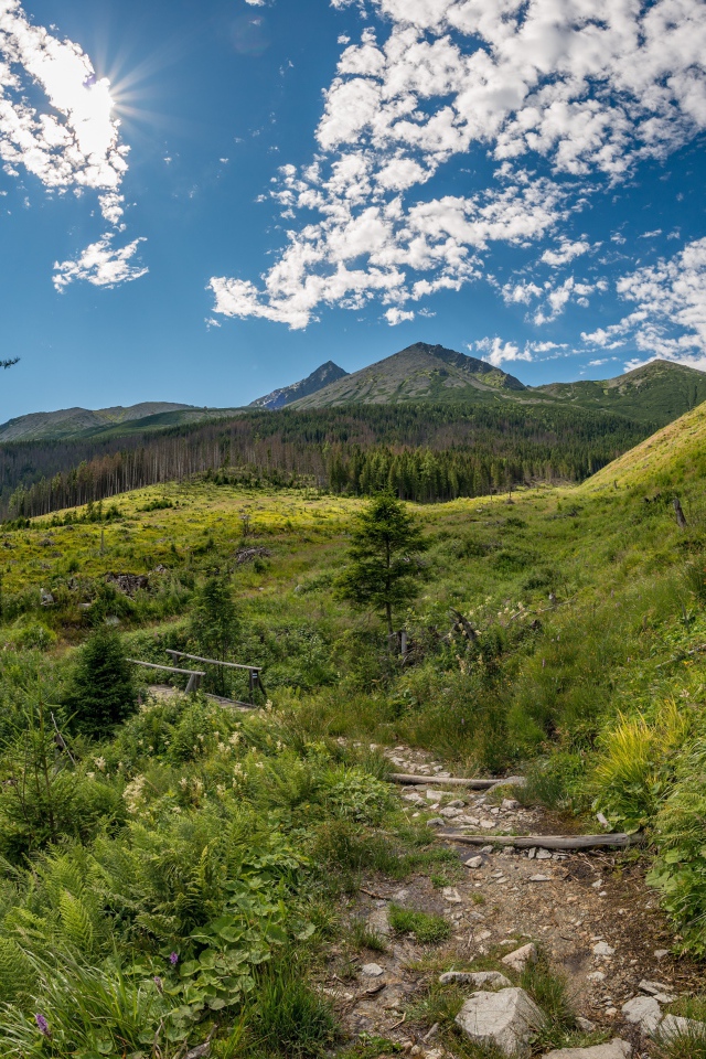 Красивая зеленая природа у гор под голубым небом