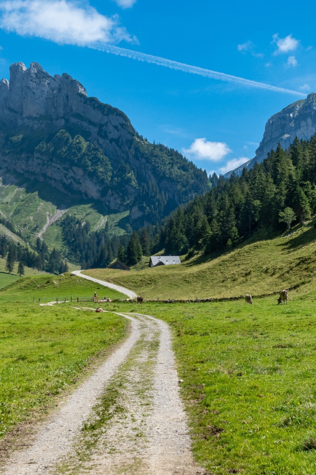 Красивый вид на гору под голубым небом летом 
