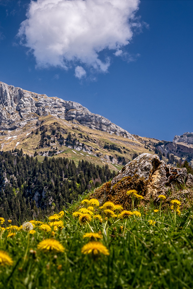 Красивая природа у подножия высокой горы под голубым небом 